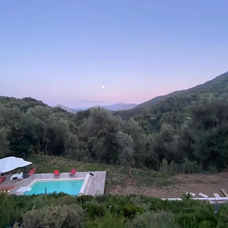 Villa Villa Avec Piscine En Montagne Corse